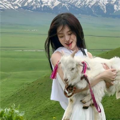 铁齿铜牙纪晓岚4